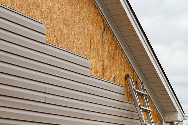 Professional Siding Replacement technician working in Brooksville, KY